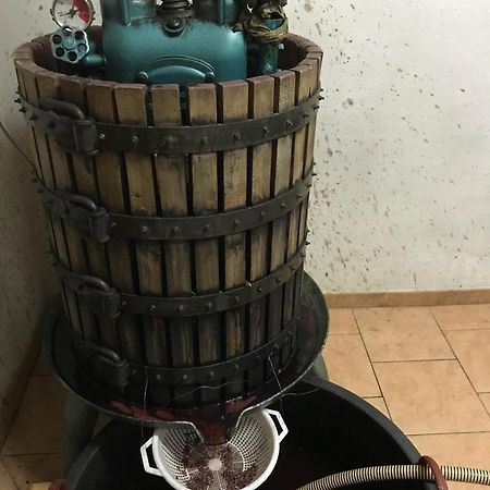 Agriturismo Il Melo 발파브리카 외부 사진