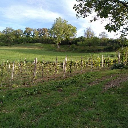 Agriturismo Il Melo 발파브리카 외부 사진