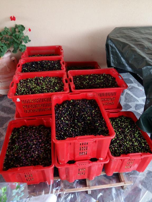 Agriturismo Il Melo 발파브리카 외부 사진